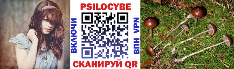 MEGA рабочий сайт  Ливны  Галлюциногенные грибы GOLDEN TEACHER 