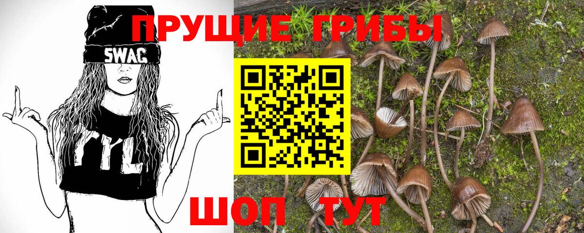 Псилоцибиновые грибы мухоморы Ливны